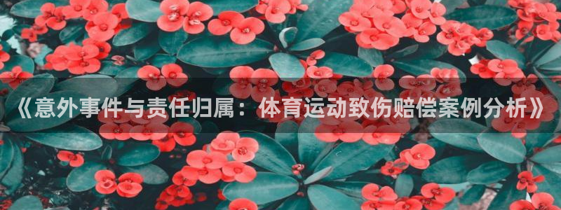 杏耀网：《意外事件与责任归属：体育运动致伤赔偿案例分析》