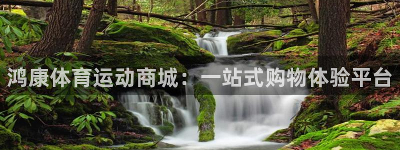 杏耀娱乐注册：鸿康体育运动商城：一站式购物体验平台