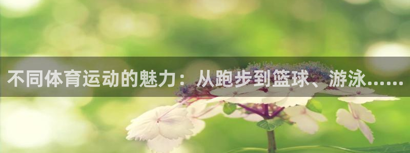 杏耀集团股票：不同体育运动的魅力：从跑步到篮球、游泳……
