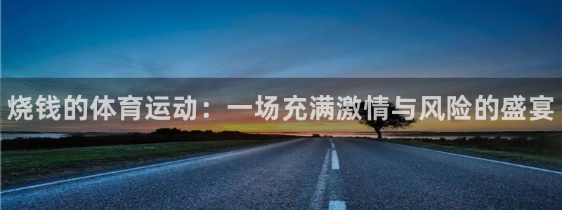 福建杏耀机电股份公司：烧钱的体育运动：一场充满激情与风险的盛宴