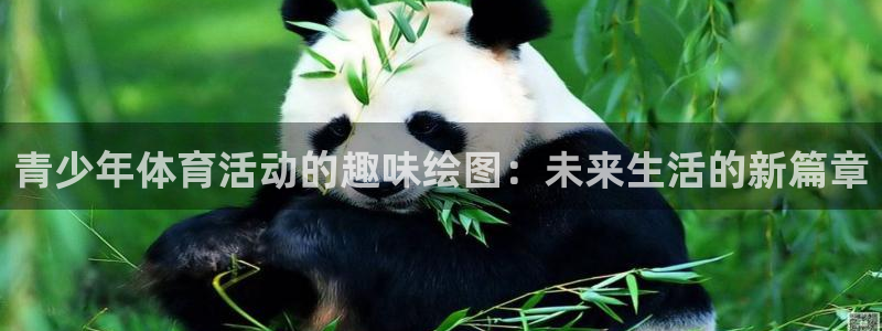 杏耀注册登陆：青少年体育活动的趣味绘图：未来生活的新篇章