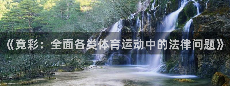 佛山市南海杏耀机电仪器有限公司：《竞彩：全面各类体育运动中的法律问题》