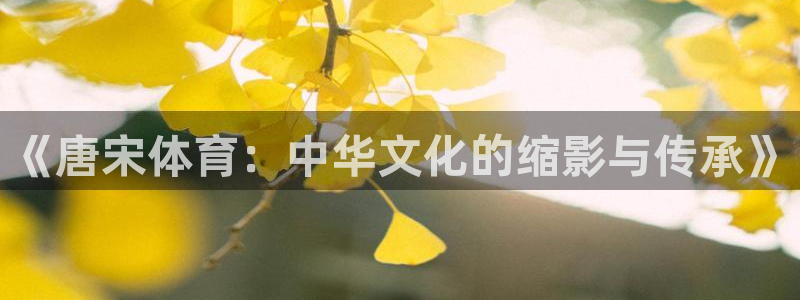 杏耀体育代理：《唐宋体育：中华文化的缩影与传承》