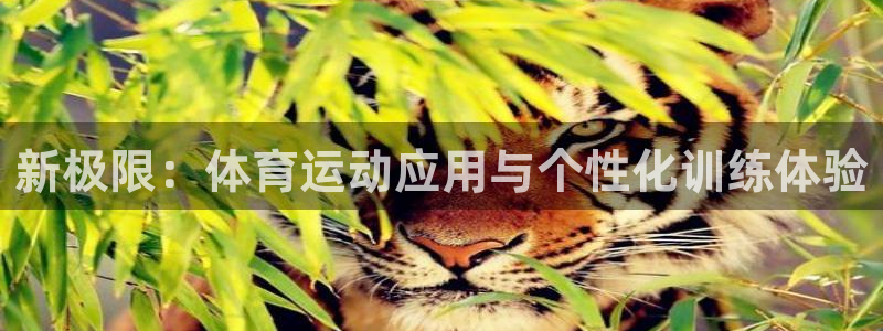 杏耀体育官网登录：新极限：体育运动应用与个性化训练体验