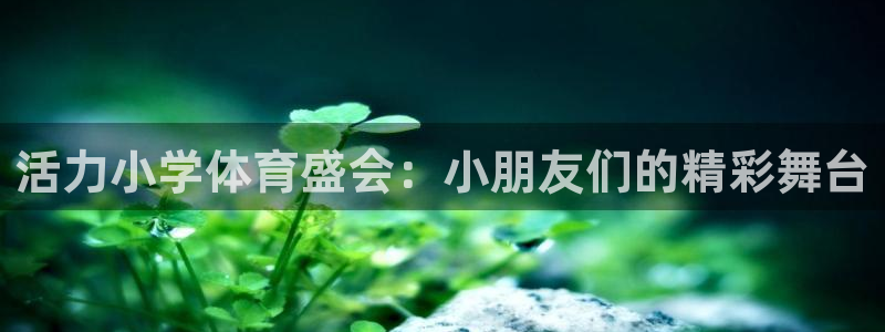 杏耀平台登录网址：活力小学体育盛会：小朋友们的精彩舞台