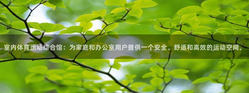 杏耀注册：室内体育运动综合馆：为家庭和办公室用户提供一个安全、舒适和高效的运动空