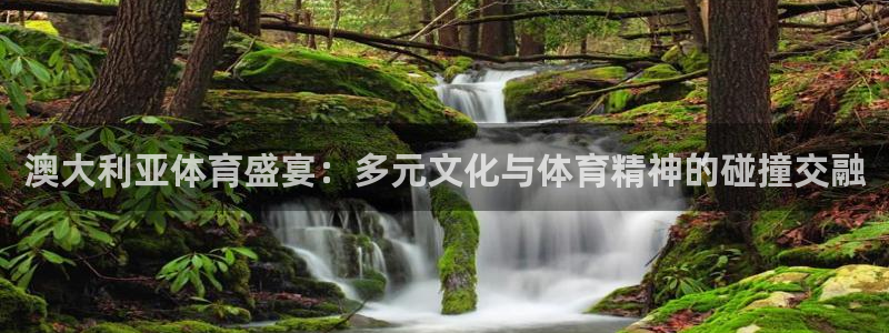 杏耀平台招商：澳大利亚体育盛宴：多元文化与体育精神的碰撞交融