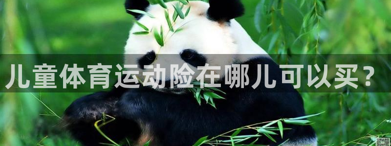 杏耀体育代理申请流程：儿童体育运动险在哪儿可以买？