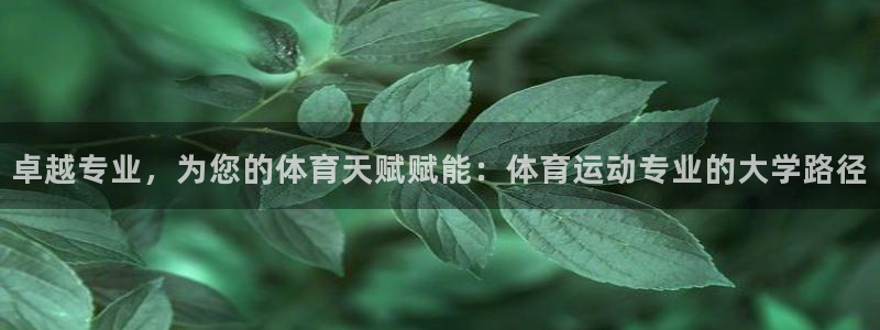 杏耀凯捷平台：卓越专业，为您的体育天赋赋能：体育运动专业的大学路径