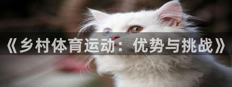 佛山市南海杏耀机电仪器有限公司：《乡村体育运动：优势与挑战》