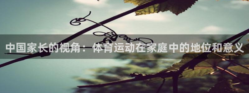 杏耀体育凯捷平台注册：中国家长的视角：体育运动在家庭中的地位和意义