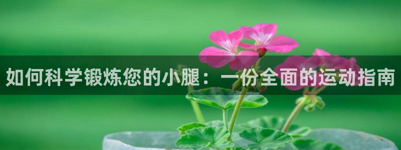 杏耀注册开户：如何科学锻炼您的小腿：一份全面的运动指南