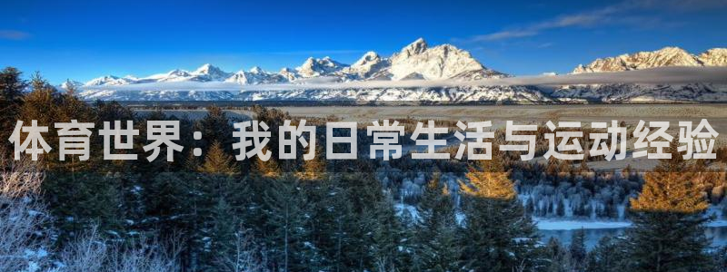 注册杏耀：体育世界：我的日常生活与运动经验