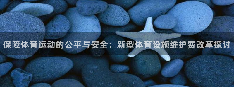 娱乐杏耀：保障体育运动的公平与安全：新型体育设施维护费改革探讨