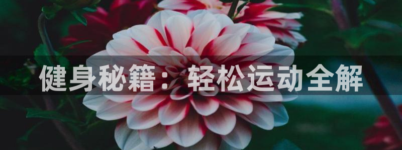 杏耀凯捷开号链接：健身秘籍：轻松运动全解