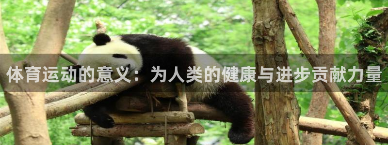 杏耀官网入口：体育运动的意义：为人类的健康与进步贡献力量