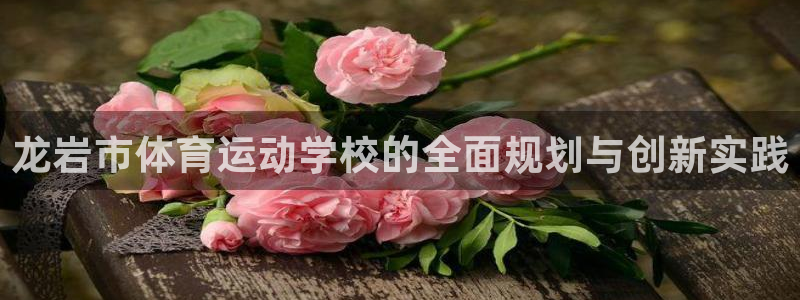 杏耀主管：龙岩市体育运动学校的全面规划与创新实践