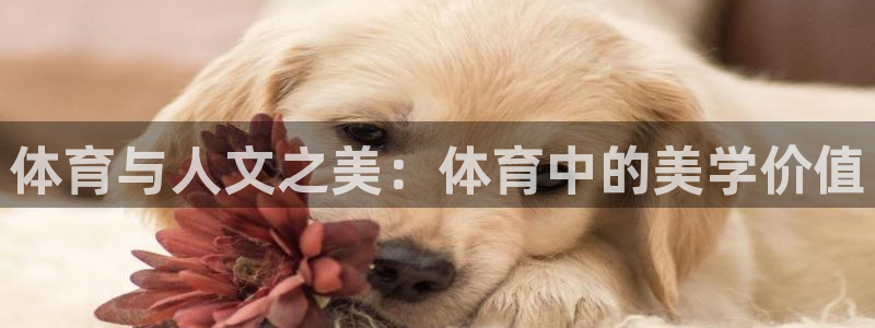 杏耀kgame：体育与人文之美：体育中的美学价值
