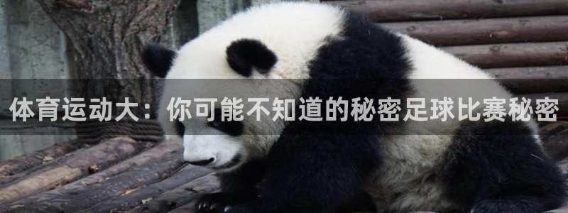 杏耀体育平台总代理：体育运动大：你可能不知道的秘密足球比赛秘密